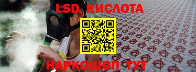 крисы Краснодар