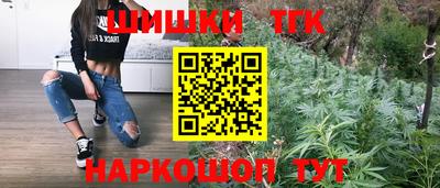 крисы Краснодар