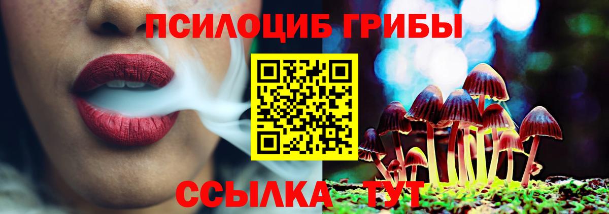 Одинцово  Псилоцибиновые грибы мицелий  магазин продажи   Вход с VPN 